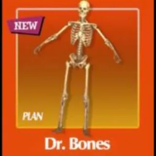 Dr Bones Plan