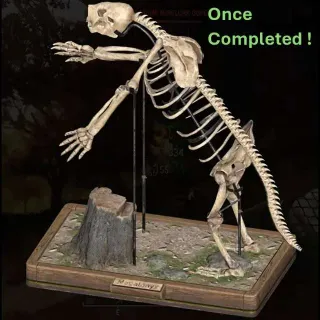 Fossilized Megalonyx