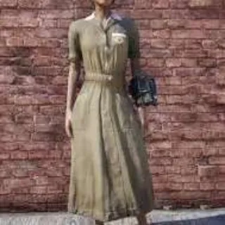 Asylum Brown Dress