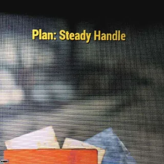 Steady Handle
