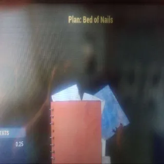 Bed Of Nails