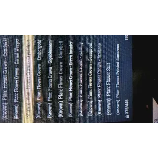 Flower Crown W Dress