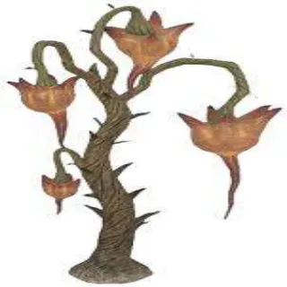 Potted Prickeye Plan