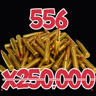 556 Rounds