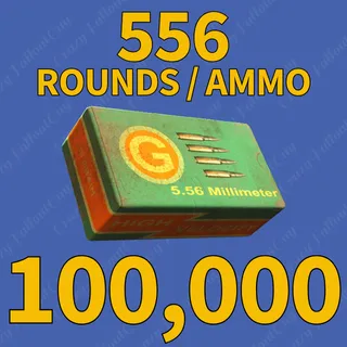 556 Rounds