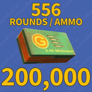 556 Rounds