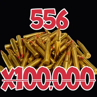 556 Rounds
