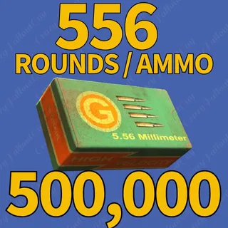 556 Rounds