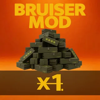 Bruiser Mod