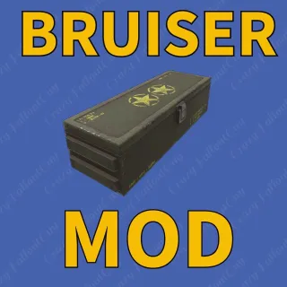 Bruiser Mod