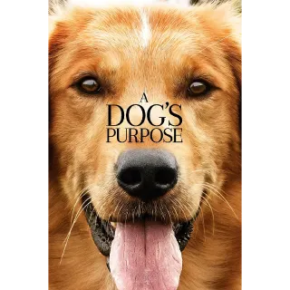 A Dog's Purpose