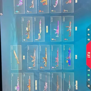 Valorant Acc worth 700$