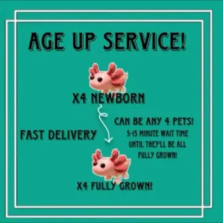 4x pet age services