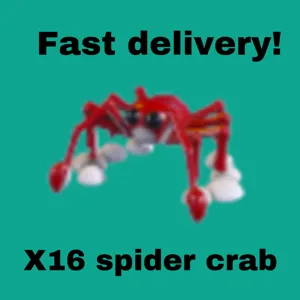 X16 spider crab