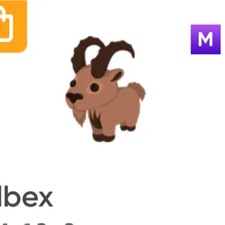 mega Ibex