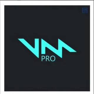 Voicemod PRO - 1 month