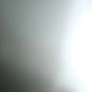 The Outer Worlds 2 Julius P. Canid Skin