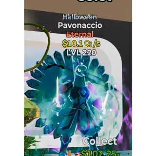 Halloween Pavonaccio