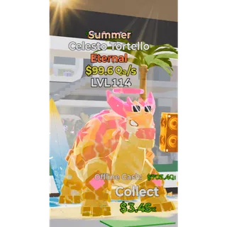 Summer Celesto Tortello