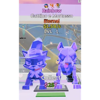 Rainbow Gattino e Mortosso