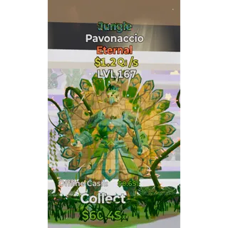 Jungle Pavonaccio