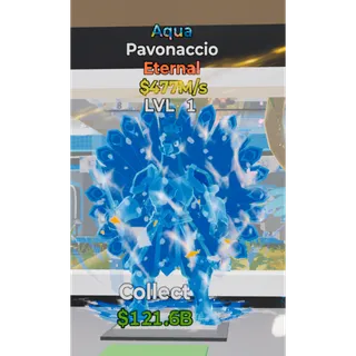 Aqua Pavonaccio