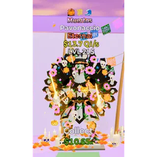Muertos Pavonaccio