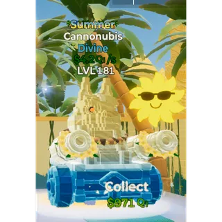 Summer Cannonubis