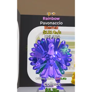 Rainbow Pavonaccio
