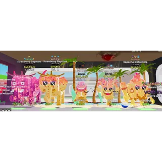 STB BUNDLE