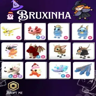 BUNDLE ADOPT ME PETS X12