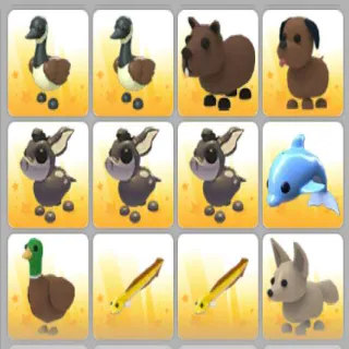 BUNDLE PET X12 ADOPT ME