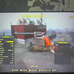 fancy revolver