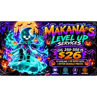 STB LEVELING SERVICE