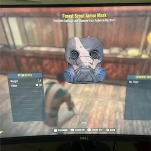 FSA mask