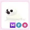 MFR Harp Seal