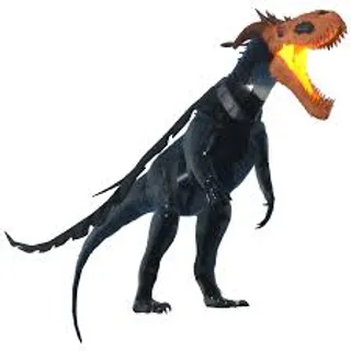 Limited | Headlessaurus