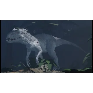 Limited | Indomitable King