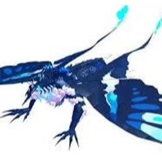 Limited | Butterfly Alametus