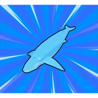 Limited | Blue Whale Shasta