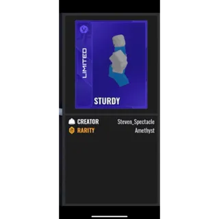 NFL Universe Football | Sturdy