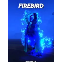 Limited | Fire Bird