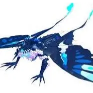 Limited | Butterfly Alametus