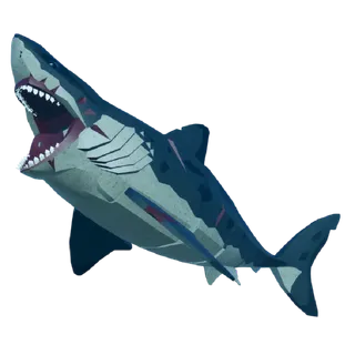 Limited | Carcharocles Megalodon