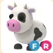 FR Cow