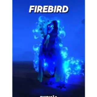 Limited | Fire Bird