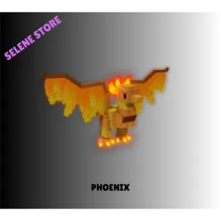 PHOENIX | FAST DELIVERY