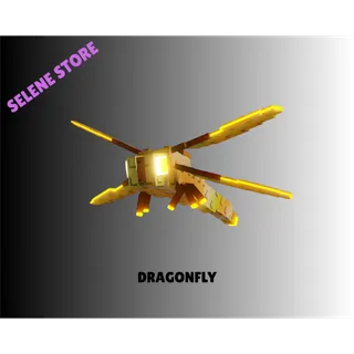5X DRAGONFLY | FAST DELIVERY