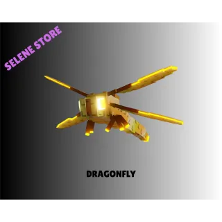 10X DRAGONFLY | FAST DELIVERY