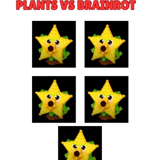 5X STARFRUIT | FAST DELIVERY